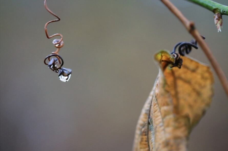 안면도자연휴양림이미지12