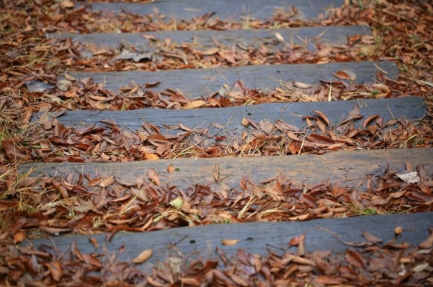 안면도자연휴양림이미지13