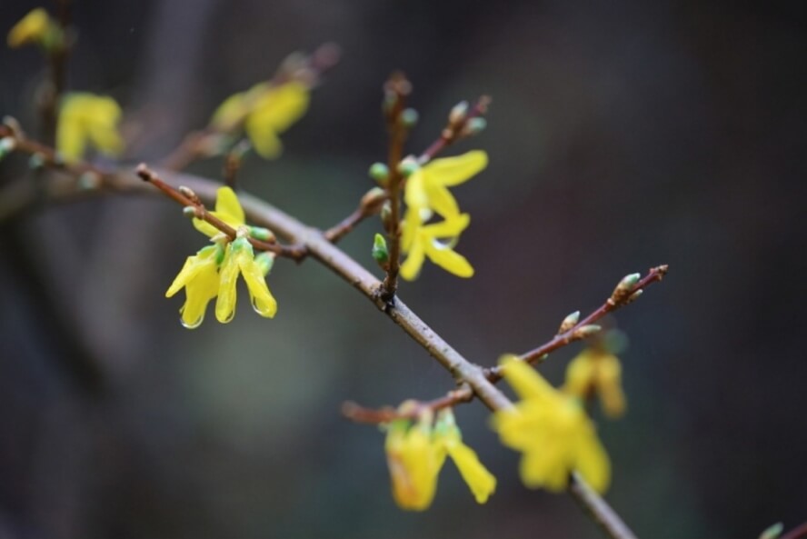 안면도자연휴양림이미지14