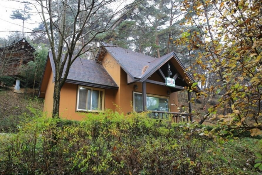 안면도자연휴양림이미지16