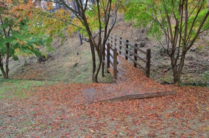 안면도자연휴양림이미지17