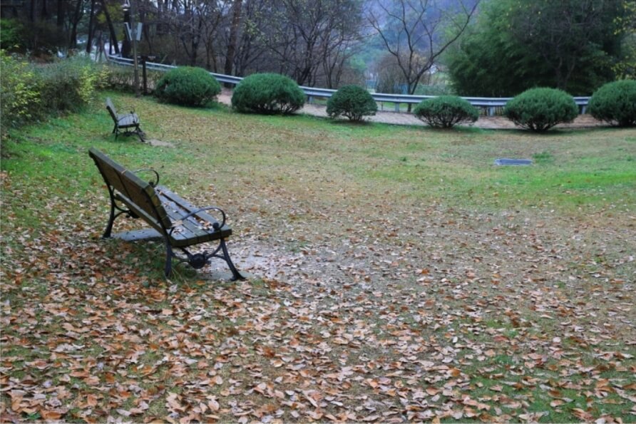 안면도자연휴양림이미지18