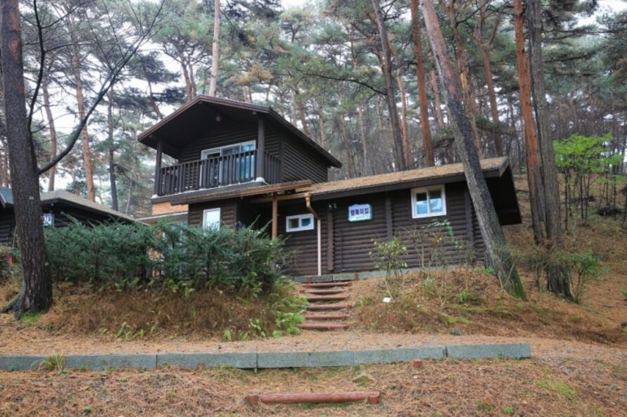 안면도자연휴양림이미지19