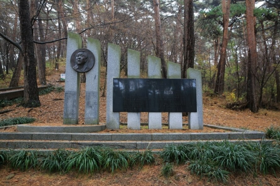 안면도자연휴양림이미지4