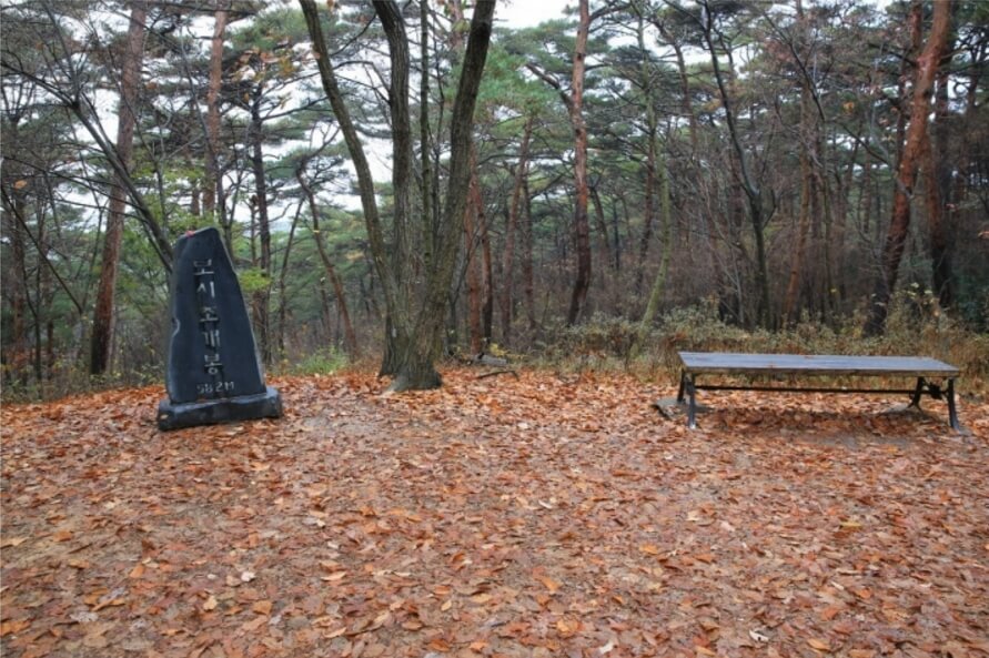 안면도자연휴양림이미지8