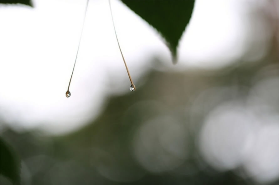 안면도자연휴양림이미지9