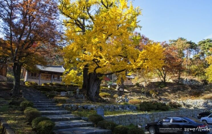 흥주사이미지2