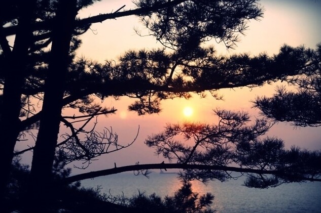 낙조트레킹이미지5