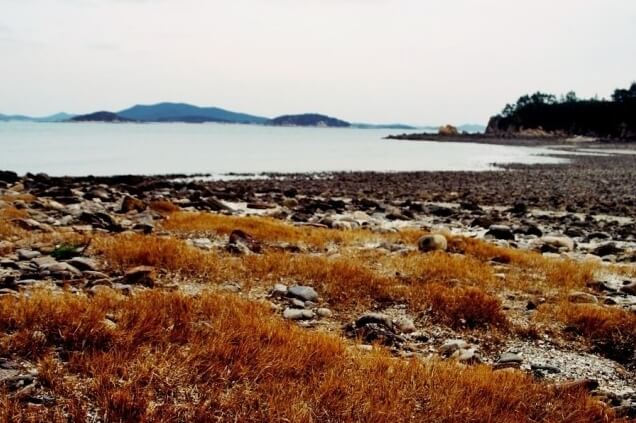 낙조트레킹이미지10