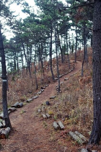 낙조트레킹이미지12