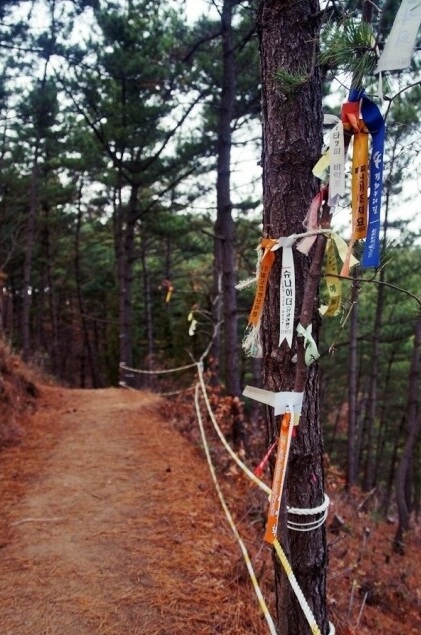 낙조트레킹이미지4