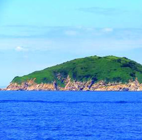 내파수도