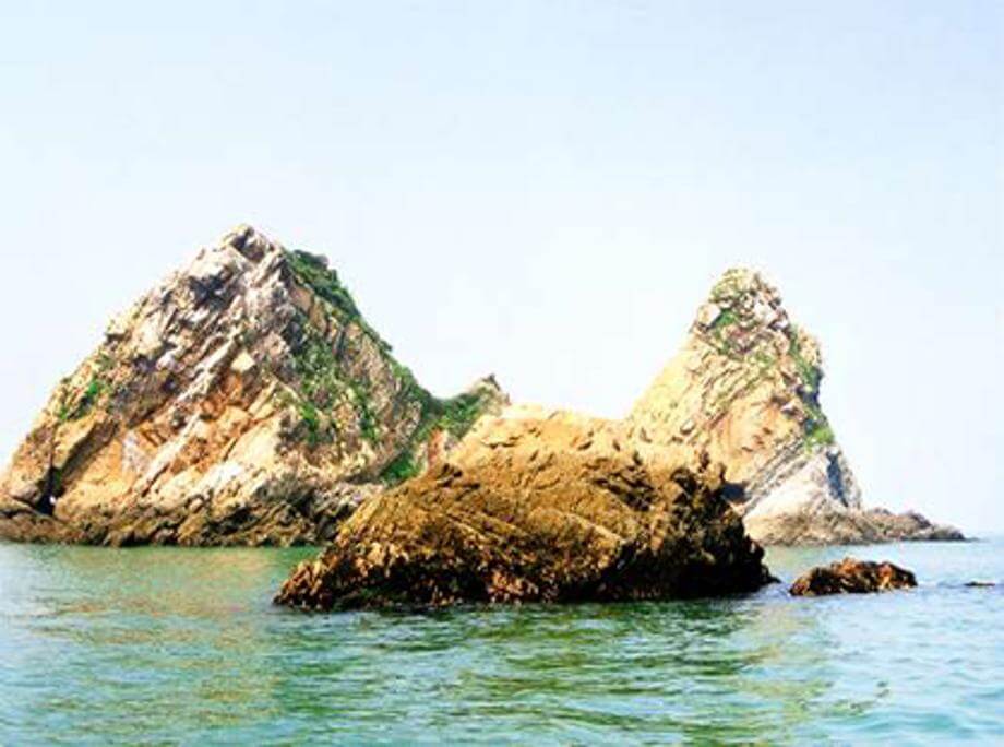 정족도