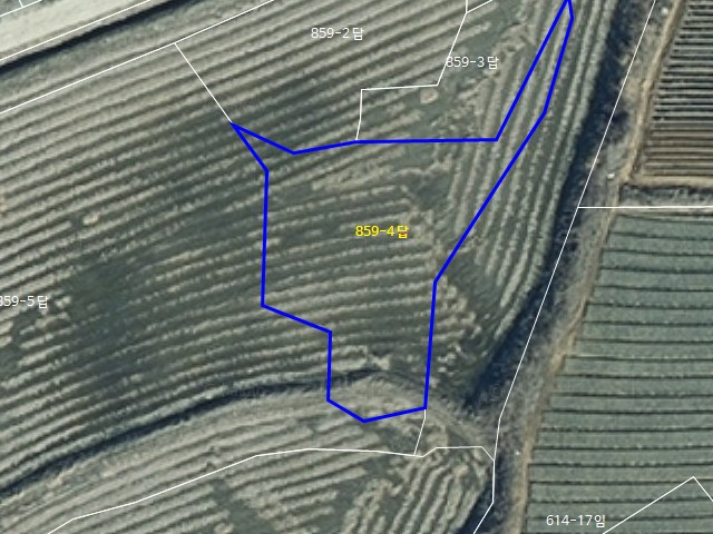 해당파일이미지D