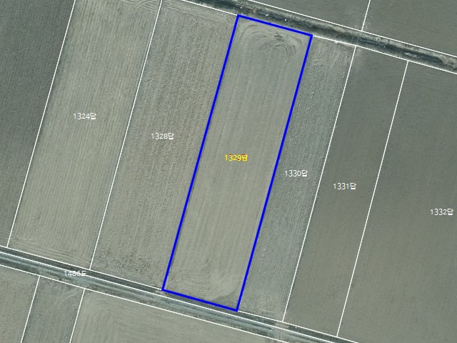 해당파일이미지D