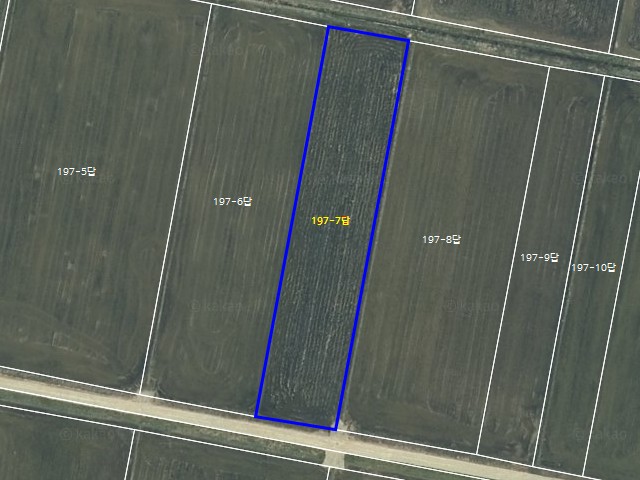 해당파일이미지D