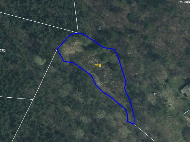 해당파일이미지D