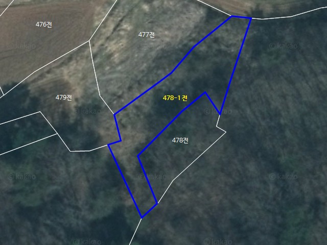 해당파일이미지D