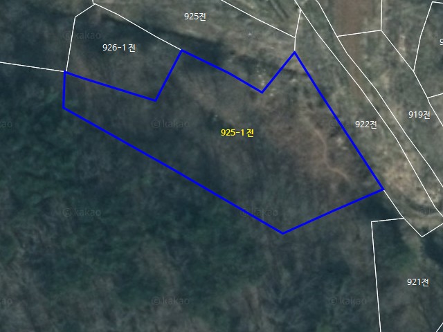 해당파일이미지D