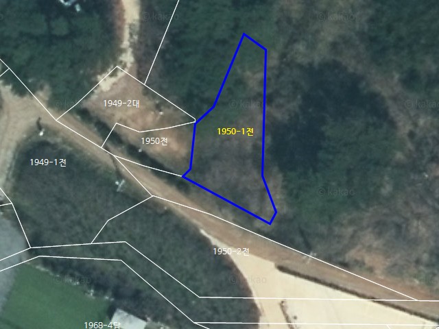 해당파일이미지D