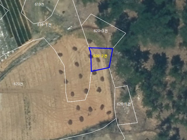 해당파일이미지D