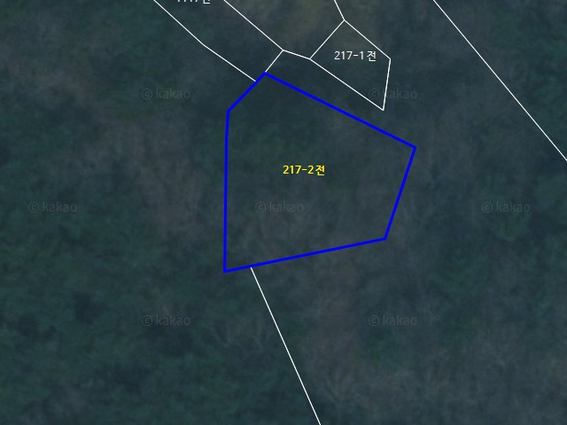 해당파일이미지D