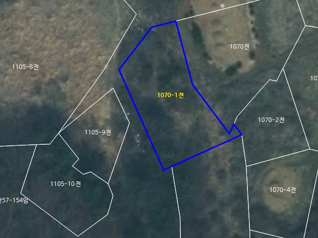 해당파일이미지D