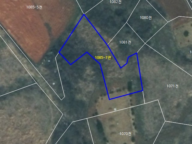 해당파일이미지D