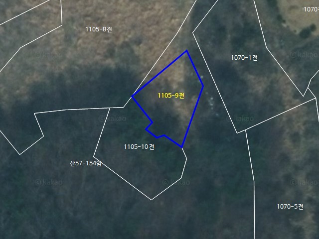 해당파일이미지D