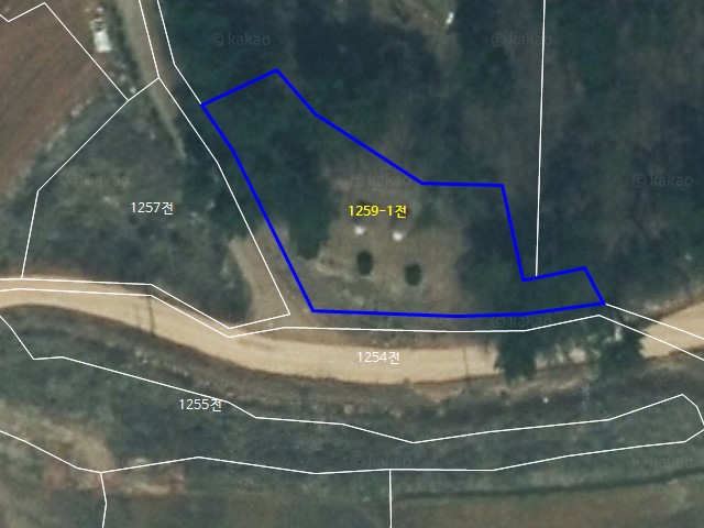 해당파일이미지D