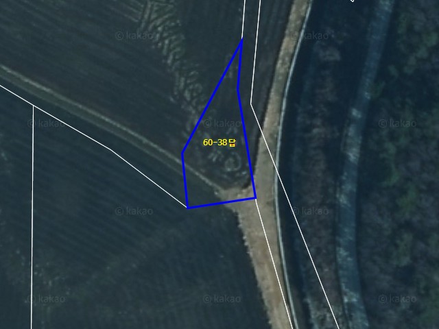 해당파일이미지D