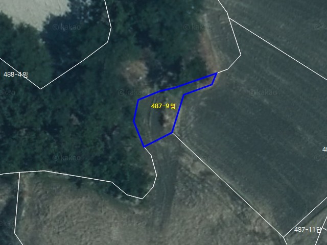 해당파일이미지D