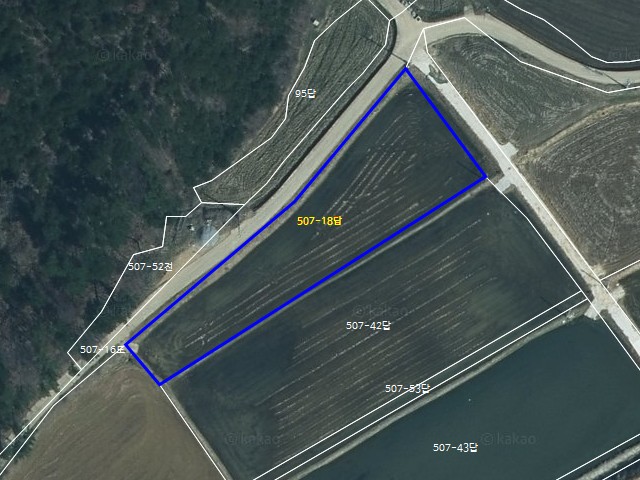 해당파일이미지D