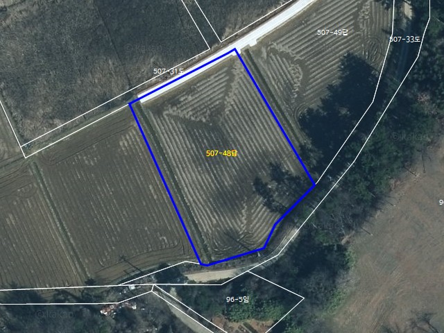 해당파일이미지D