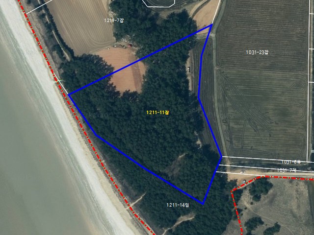 해당파일이미지D