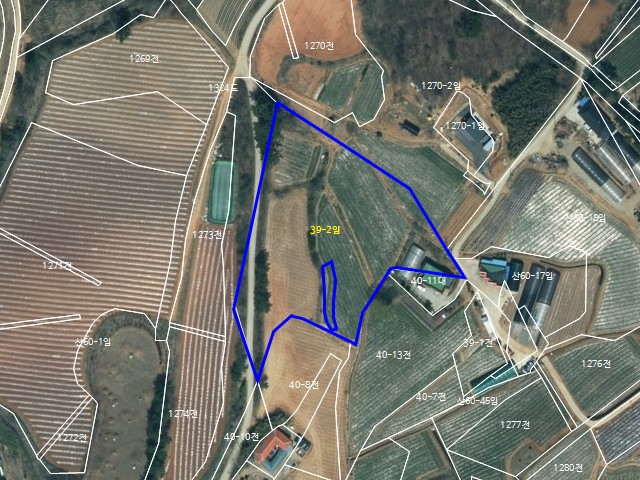 해당파일이미지D