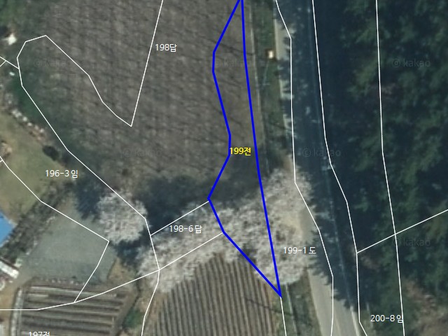 해당파일이미지D