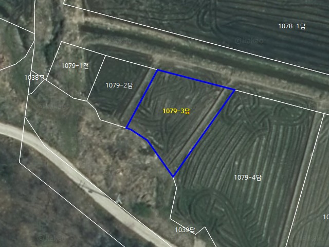 해당파일이미지D