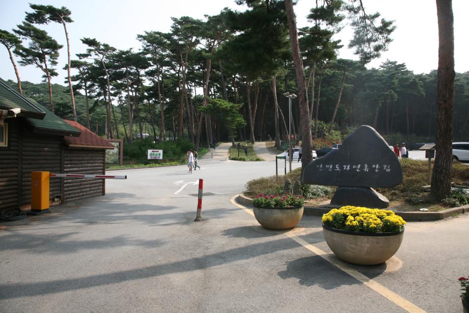 안면도 자연휴양림