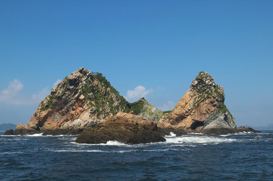 정족도