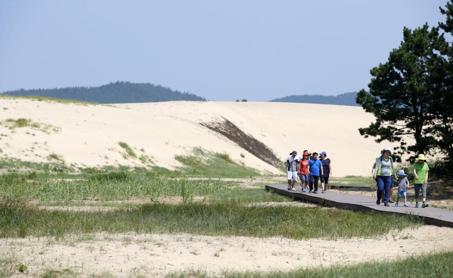 신두사구
